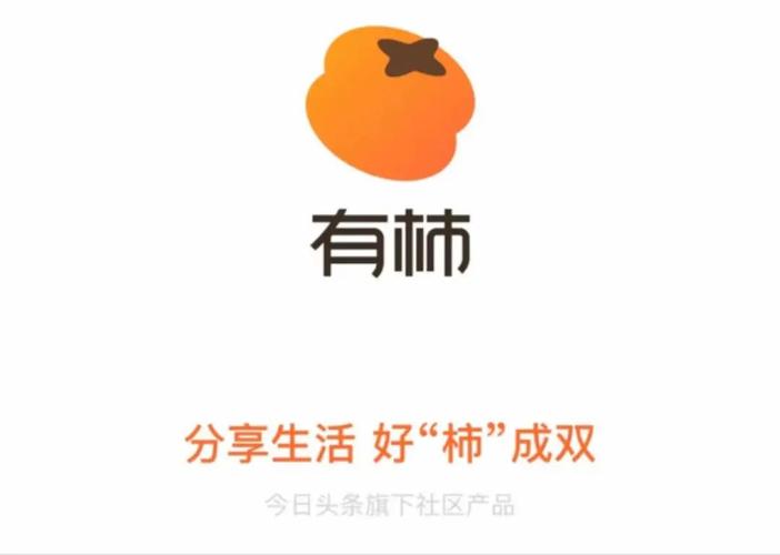 有柿app具体是做什么的？