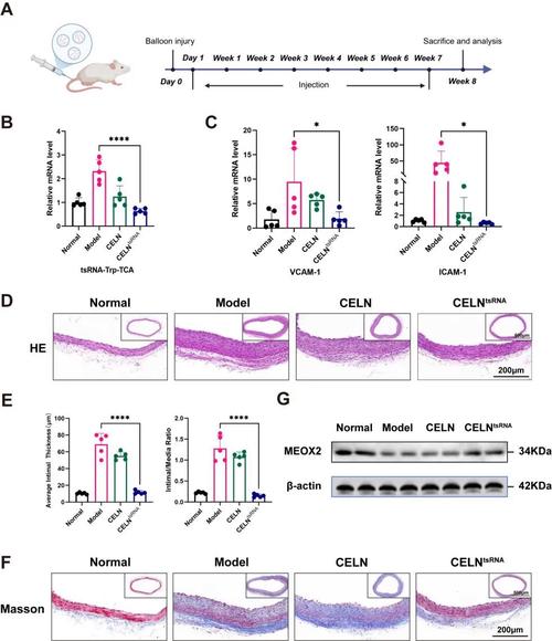 ECMAScript 2019有哪些新特性？