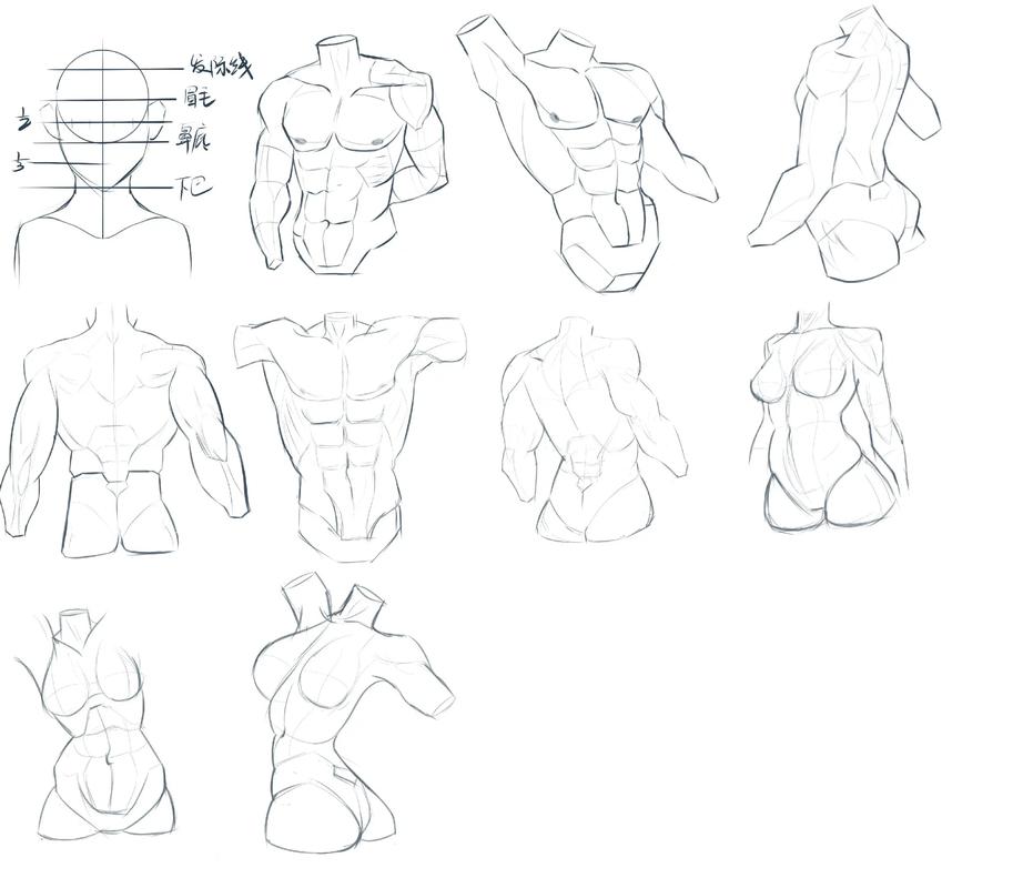 如何通过数位板轻松入门绘画？