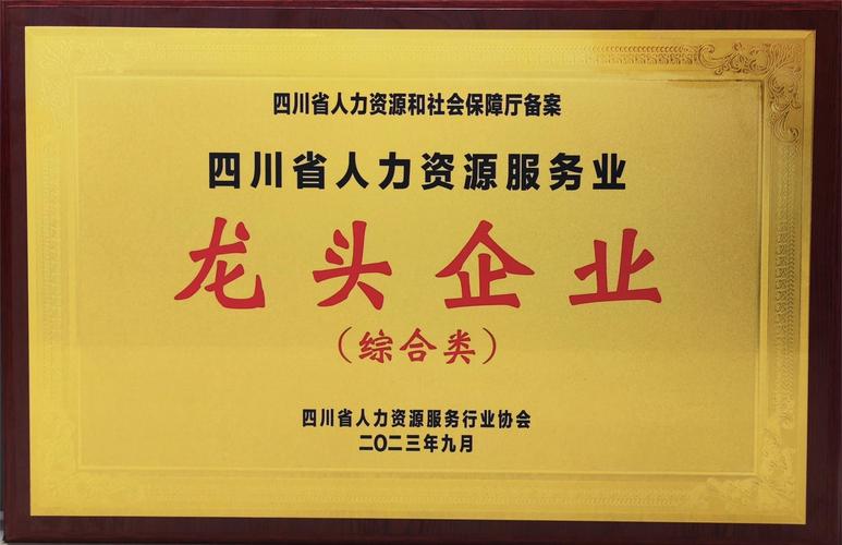 天锐科技有限公司在专业网站建设领域究竟是如何成为璀璨明珠的？