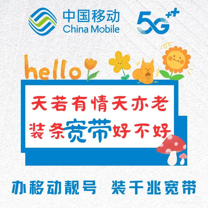 宽带MTV如何革新网络营销，开启新纪元？