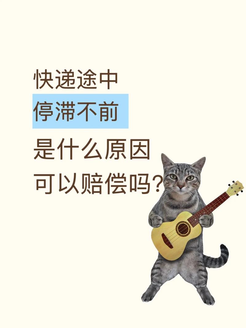 快递停滞，我能索赔吗？如何快速维权？