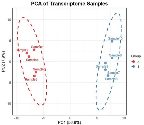 如何通过Python代码示例详细解析PCA进行数据降维？