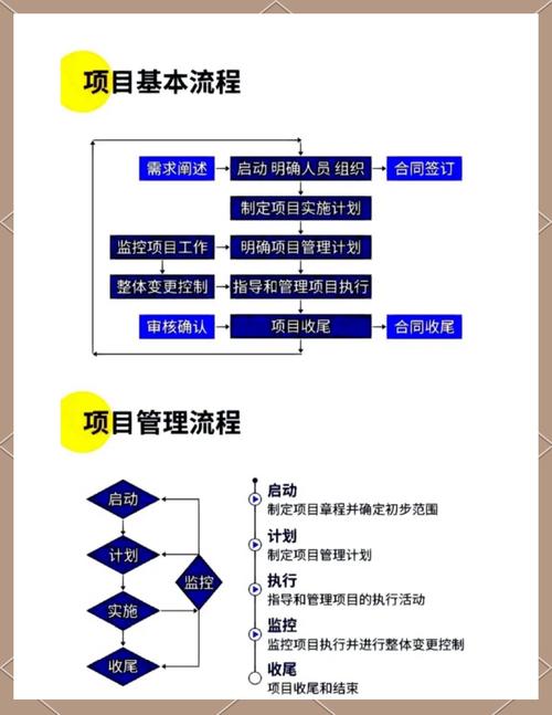 如何制定并执行SEO项目管理的高效策略，确保精准执行？