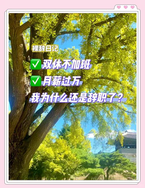 最近身边的技术负责人为何突然选择裸辞？