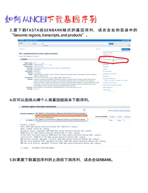 PHP中PDOStatement::getAttribute如何获取特定属性值？