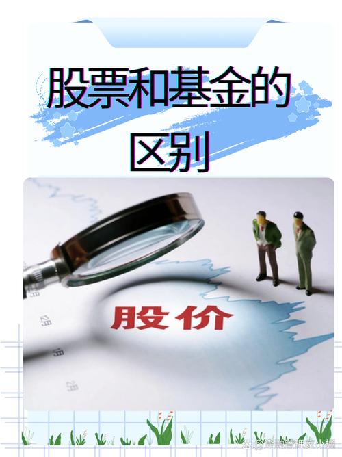 项目股与资金股的根本差异是什么？