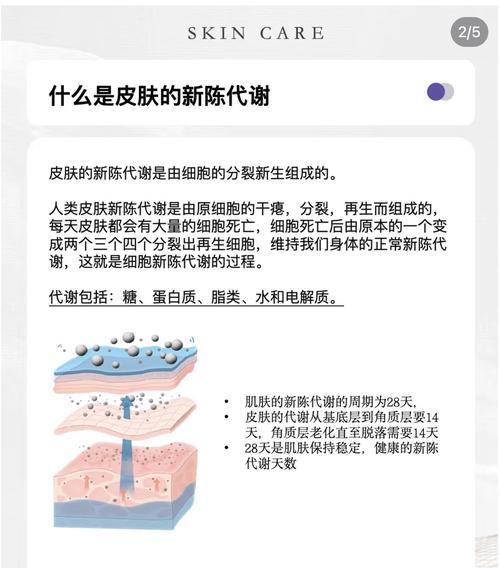 WPF皮肤更换机制及其设计理念有哪些特点？