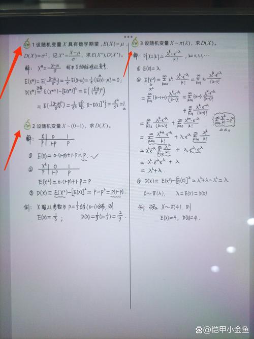 偏差、方差和噪声三者如何共同影响模型的长尾效应？