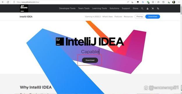 IntelliJ IDEA 2021如何自动下载pom文件依赖项？