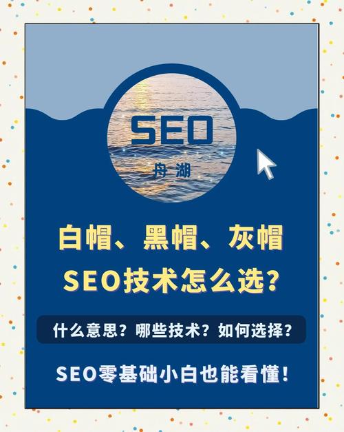 如何选择一家专业的公司进行白帽SEO服务？