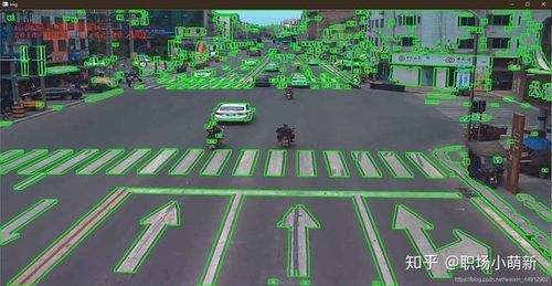 如何使用Python和OpenCV技术进行斑马线图像检测？