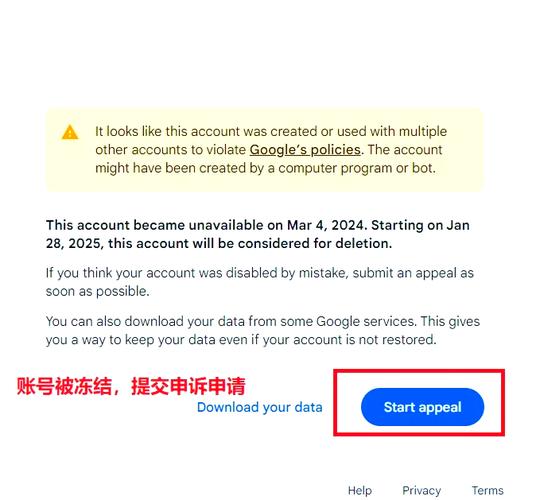 如何快速解除谷歌IP封锁？有效解封攻略分享！