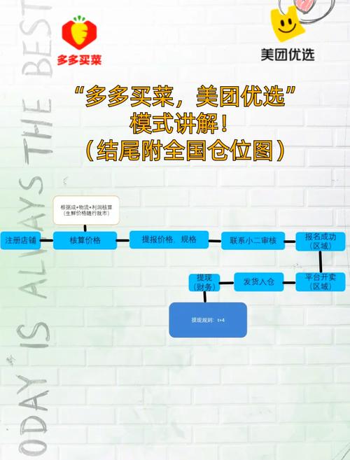 如何设计买菜系统中的用户订单评价与晒单功能，满足个性化需求？