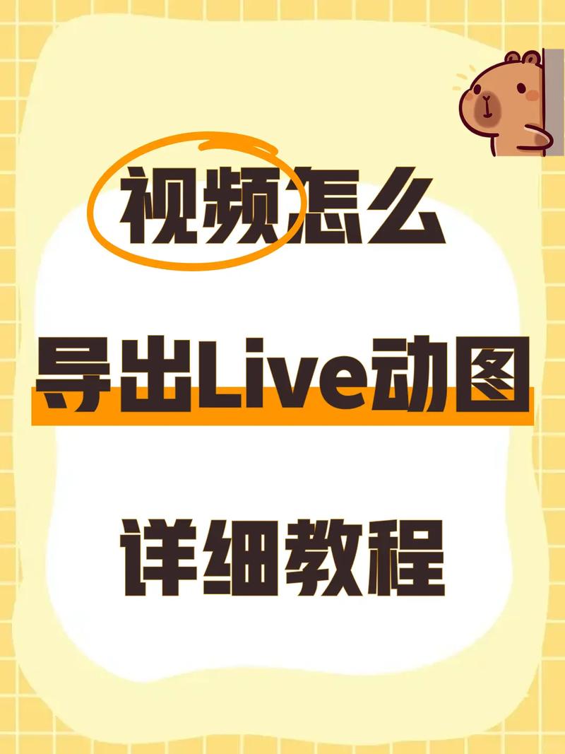 如何实现Vue中预览图片和视频的多种展示方法？