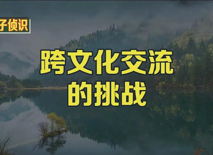 跨国项目如何有效应对各国文化差异及法规挑战？