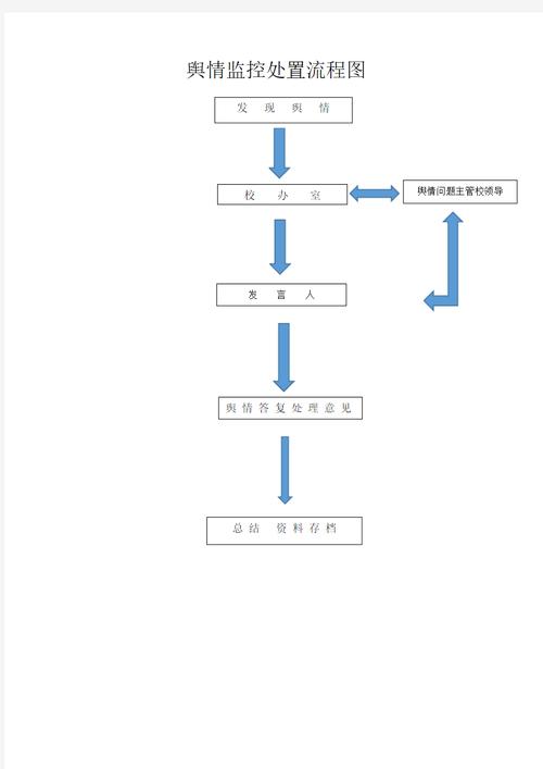 如何详细描述舆情监控的每一个具体步骤？