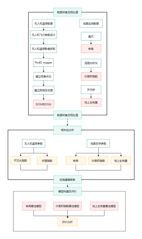 数据预处理有哪些具体步骤？