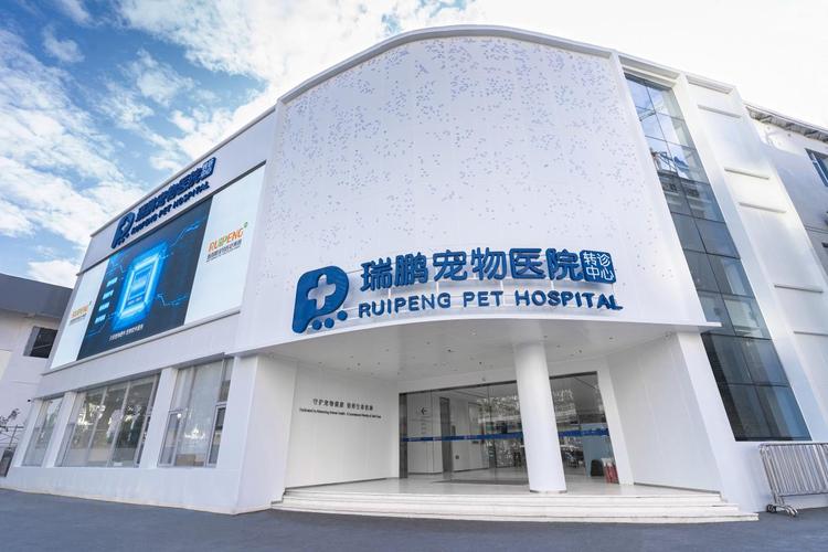 哪家宠物医院与深圳市品牌网站建设项目有合作？🐾