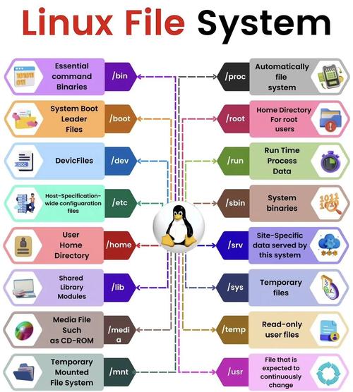 Linux下有哪些独特的文件系统类型？