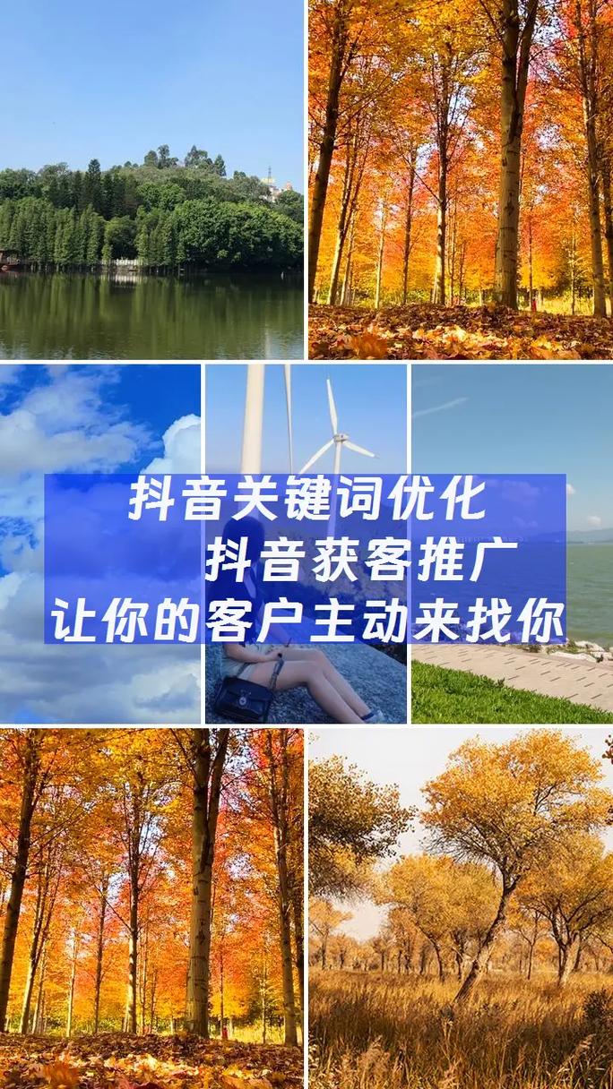 抖音SEO推广哪家性价比高，2025年高性价比服务商怎么选？