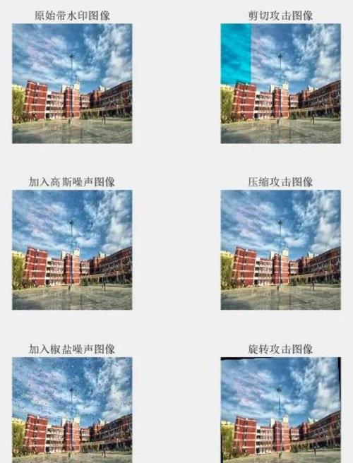 DWT数字水印嵌入的图像隐藏技术，Matlab源码中如何防御提取攻击？