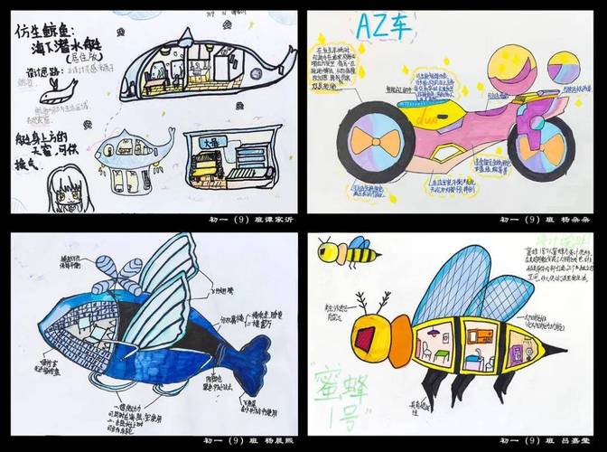 如何制作图文并茂、视觉冲击力强、内容新视觉呈现的创意作品？