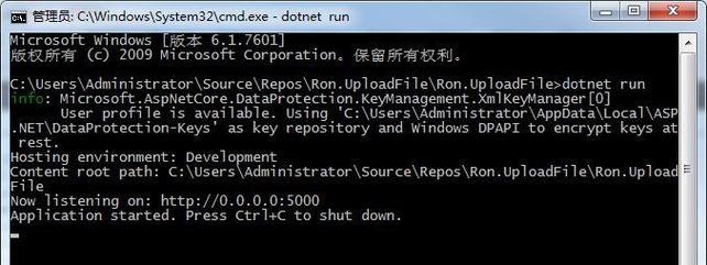 ASP.NETCore静态文件如何高效配置与优化？