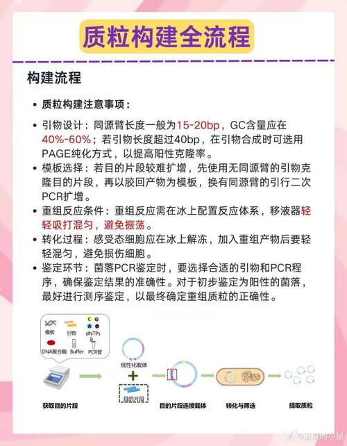 Ruby中论证处理为何显得过于僵化？