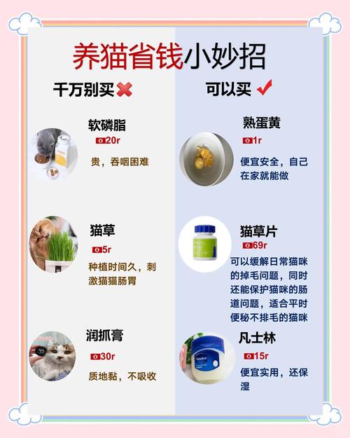 如何零基础打造宠物亲子装独立站，降低成本50%的避坑全流程指南？