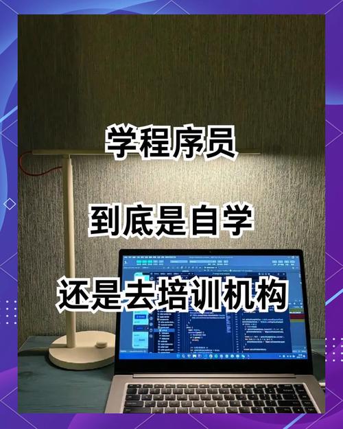 转行程序员，编程培训后自学或培训，能否顺利就业？