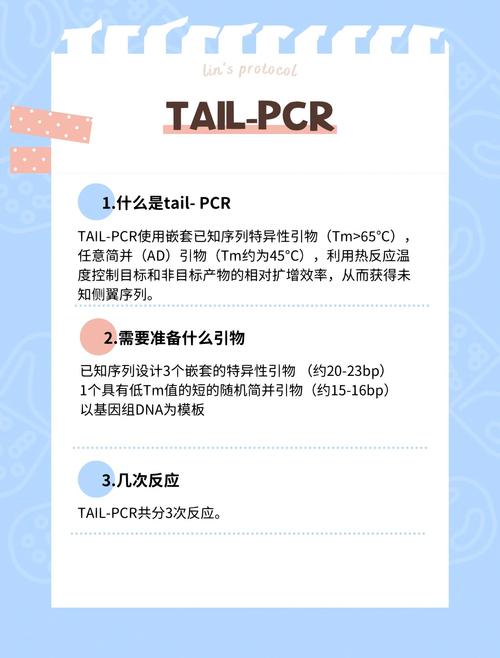 这个Lua片段的功能是什么？能否详细解释其实现的长尾词搜索算法？