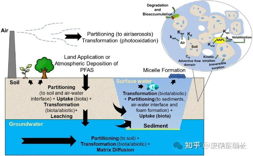 PDOStatement::bindParam 有哪些潜在陷阱需要注意？