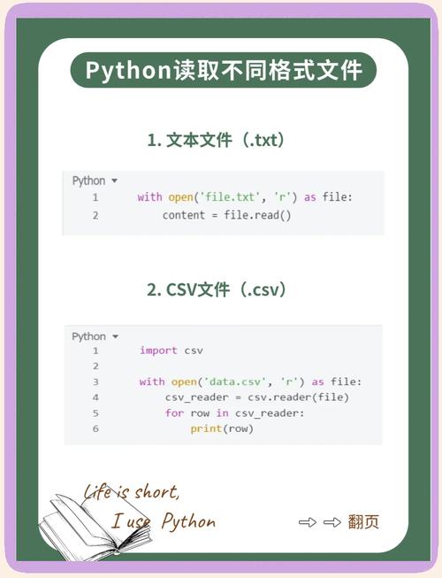 如何用Python读取多种格式的文本文件？