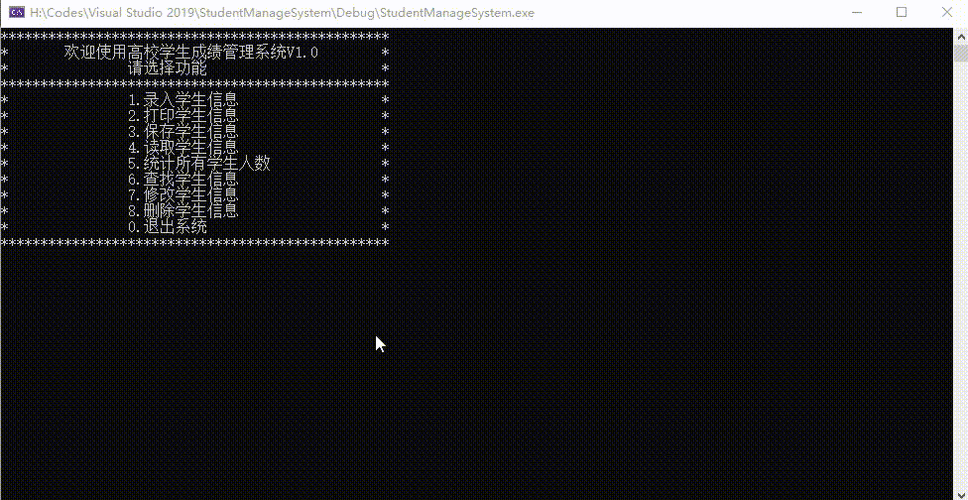 C语言动态内存管理究竟包含哪些复杂而详尽的细节？