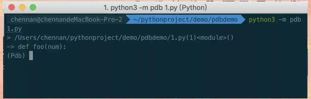 如何运用pdb模块在Python 2.x版本中进行代码深度调试技巧？