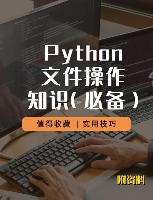 Python中如何详细探究文件操作与内存垃圾回收机制？