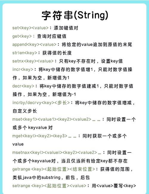 Vue指令大全里有哪些长尾词用法？