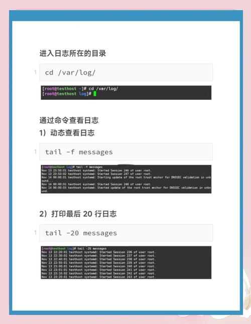 如何查询最近Java程序在Linux系统上的详细运行日志？