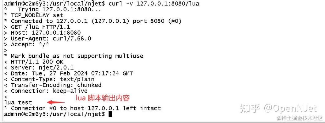Lua脚本中如何精确识别并获取当前运行操作系统的详细信息？