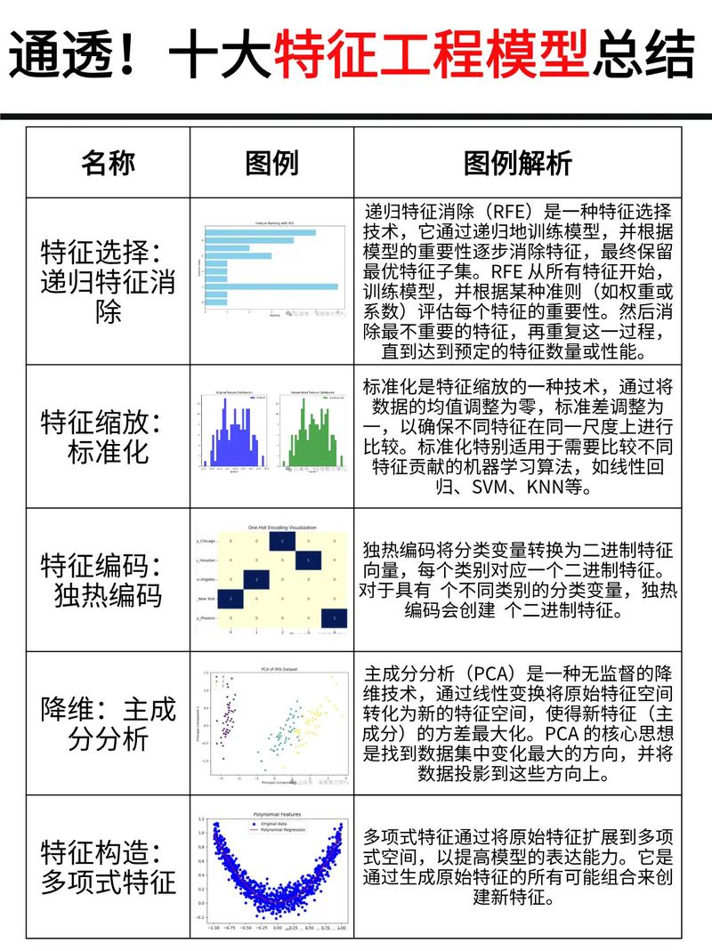 如何精准识别不同工程项目的独特性质与显著区别？