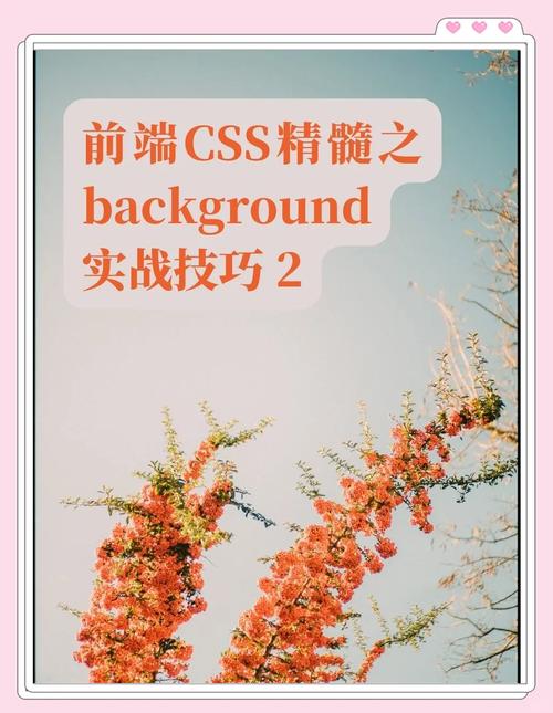 如何通过CSS实现页面背景的个性化添加？