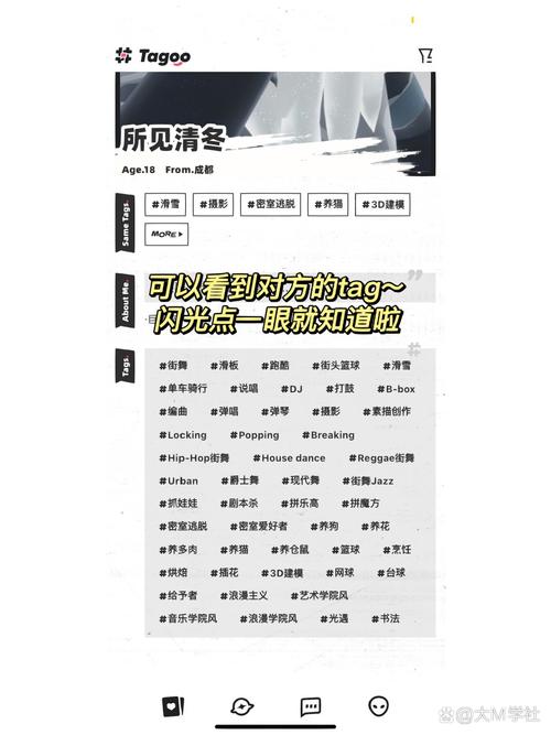 tagoo是做什么的，具体功能有哪些？