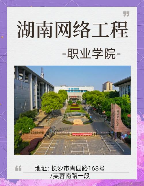 衡阳网站建设专业学校，网络信息工程学院的探索与实践之路是怎样的？