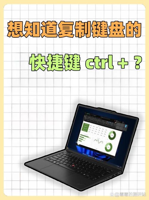 Ctrl键加什么可以实现选择性复制？