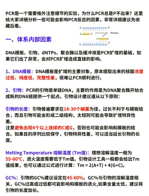 DnA在找零时遇到什么具体问题？