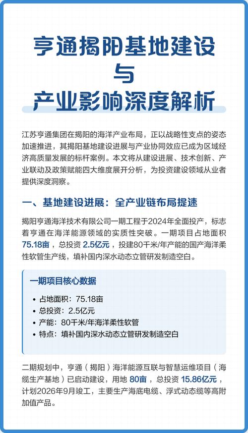 揭阳专业网站建设行业深度解析及排行榜，如何评估网站制作的专业性和竞争力？