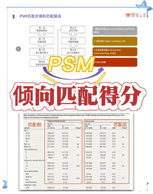 Spam Score高，链接建设风险大，爆款真的可以尝试吗？