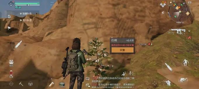 《黎明觉醒》中白棉花具体位置在哪里能获得？