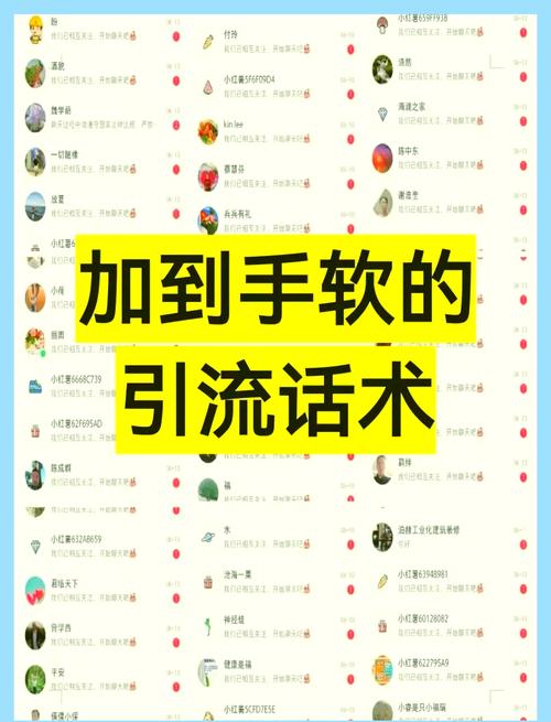 宁波SEO培训，如何掌握高效引流秘籍？